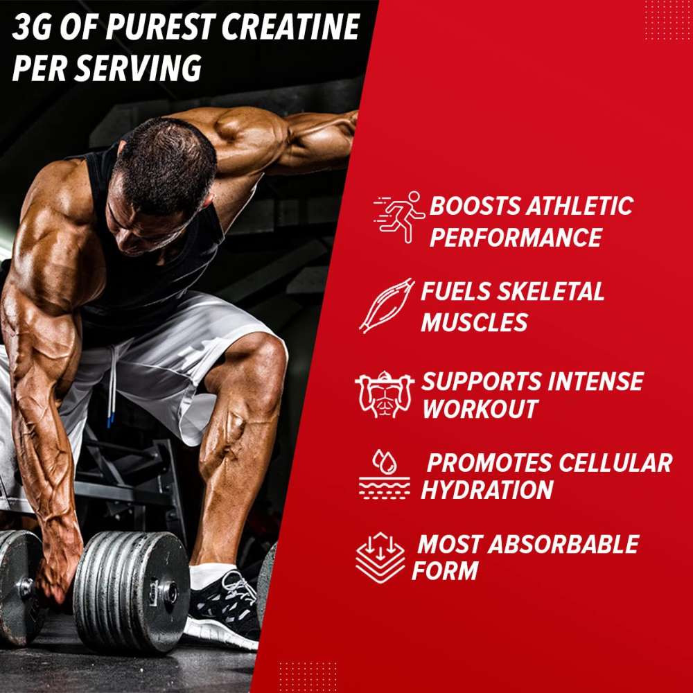 Buy GNC Creatine Monohydrate | Power up Your Workout! 💪 | Owlin.i
